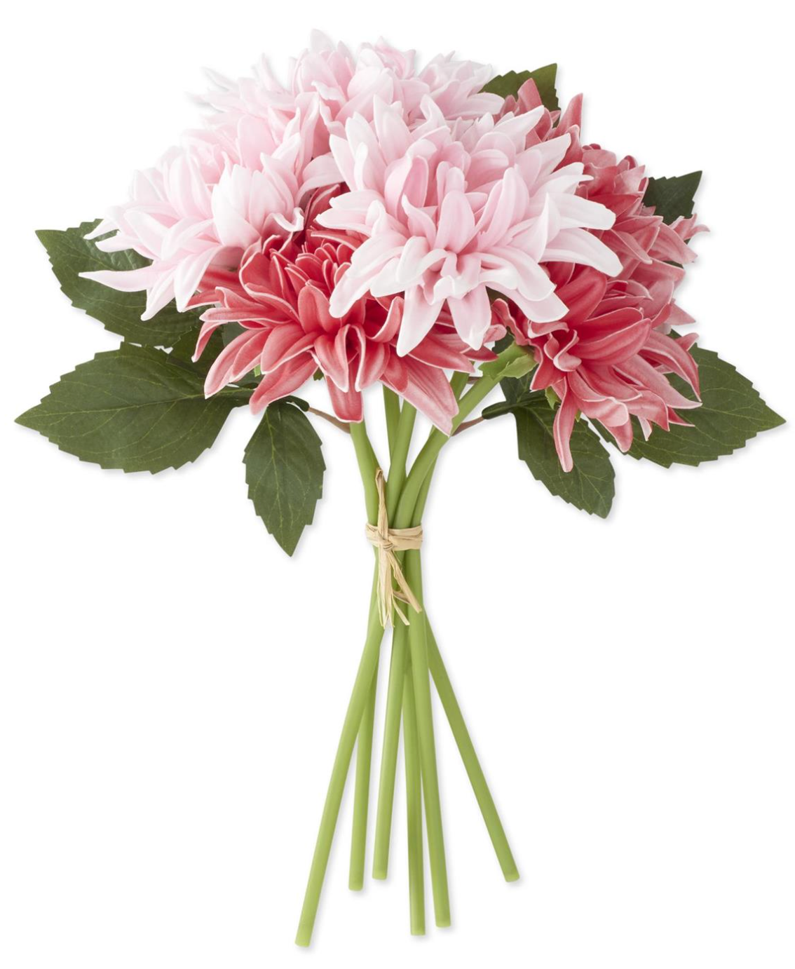 Bouquet of pink and white dahlia flowers with green leaves on a white background real touch