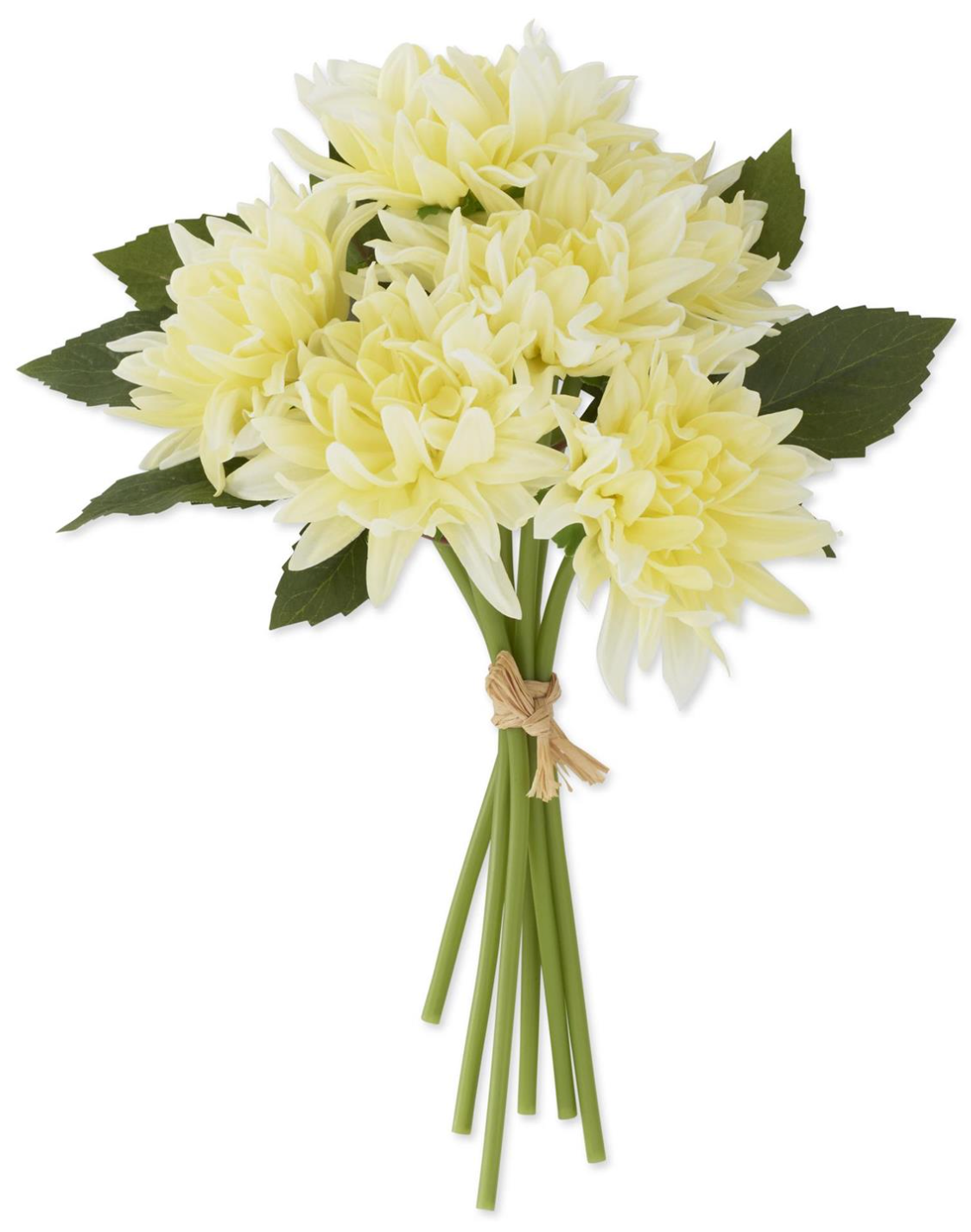 Bouquet of light yellow flowers with green stems on a white background real touch dahlia