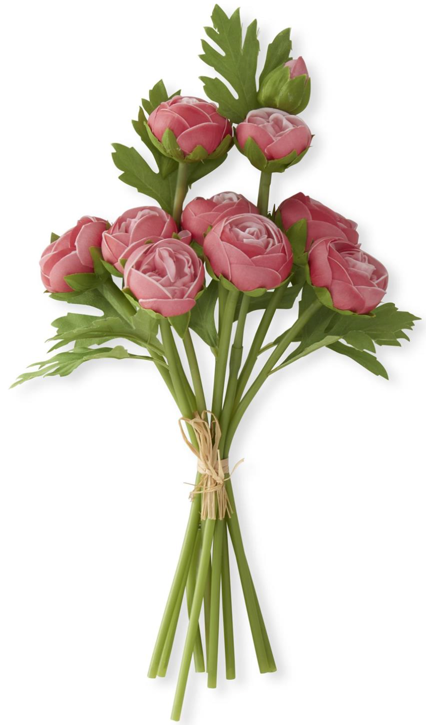 Bouquet of pink ranunculus flowers with green stems on a white background real touch