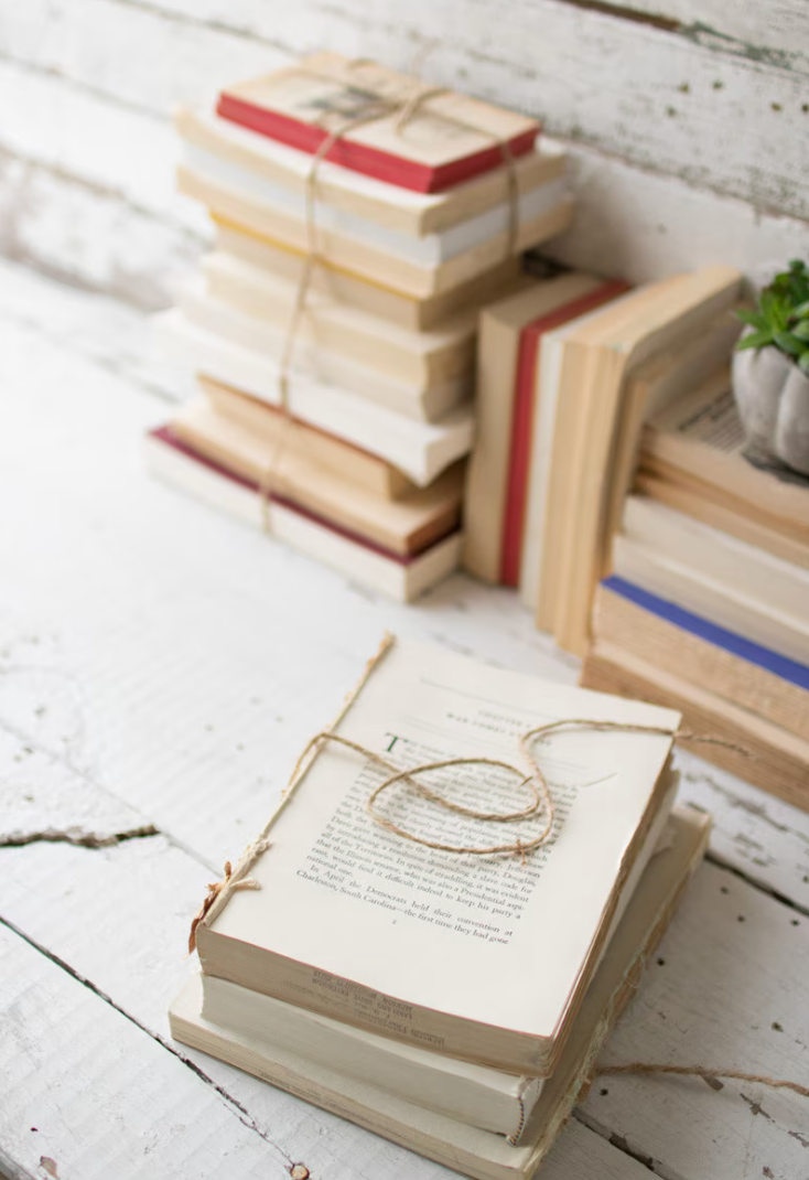 Curated Vintage Book Bundle