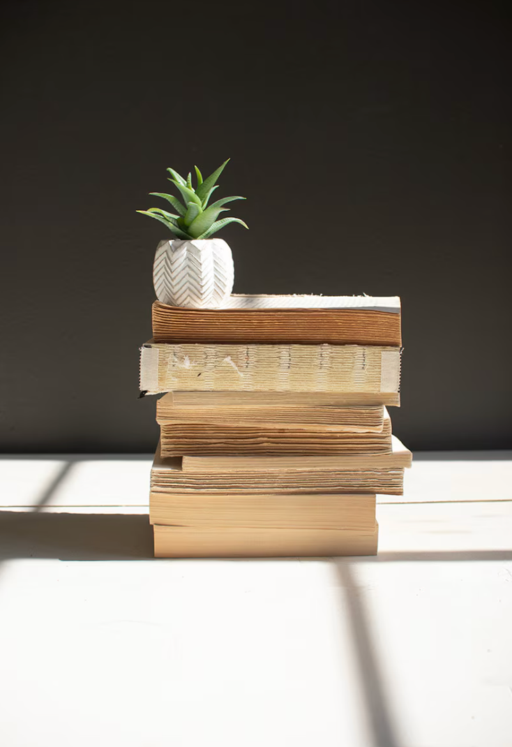 Curated Vintage Book Bundle