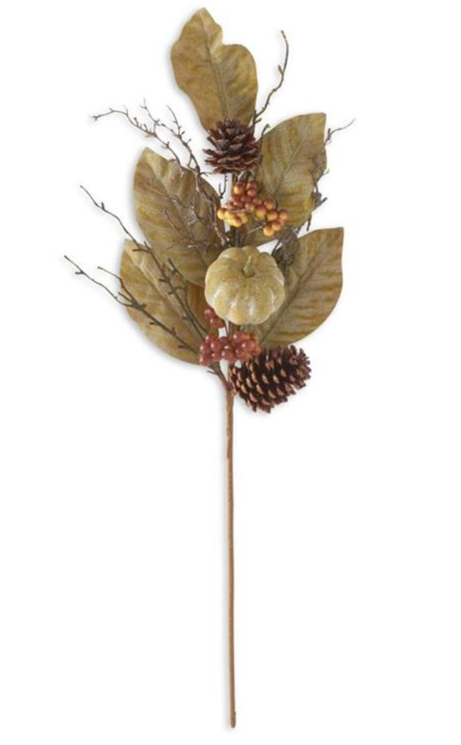 Sagewood magnolia and Pumpkin Harvest Stem - 27"