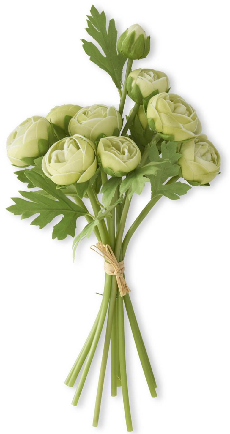 Bouquet of green ranunculus flowers with a white background real touch