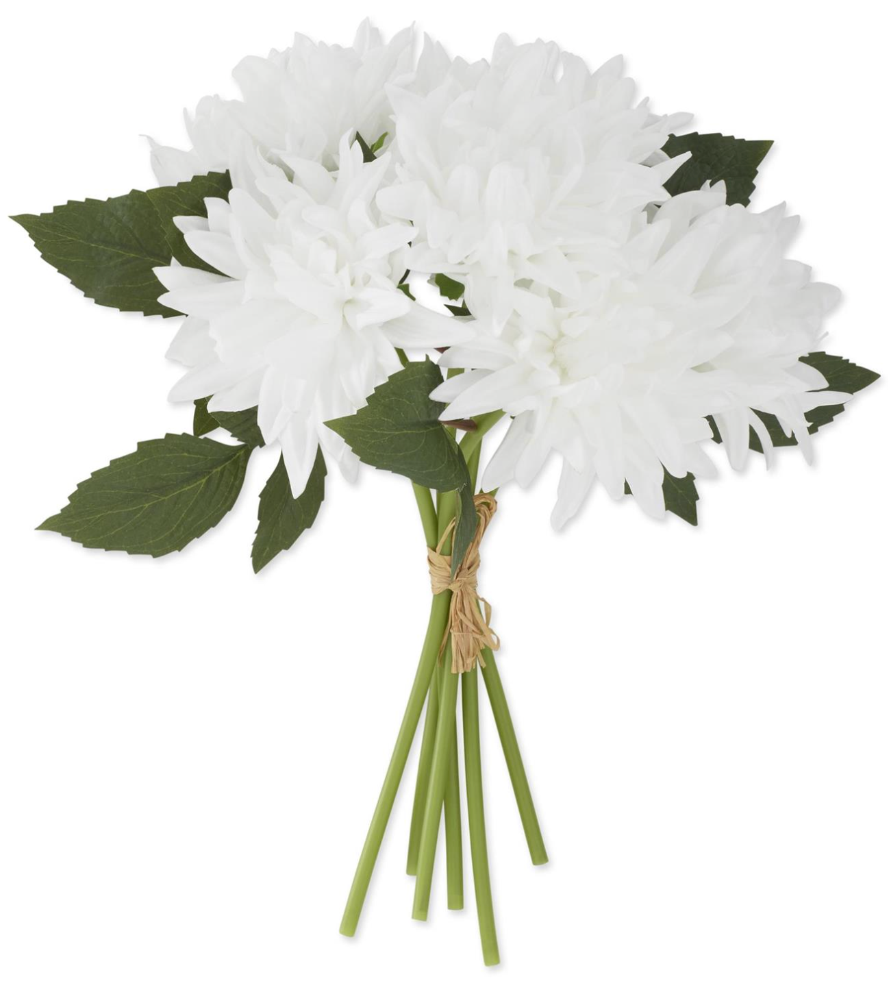 Bouquet of real touch dahlia white flowers with green leaves on a white background