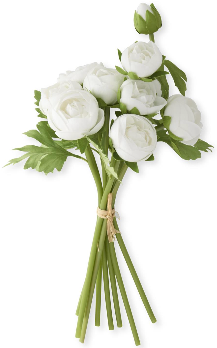Bouquet of white ranunculus flowers with green leaves on a white background real touch