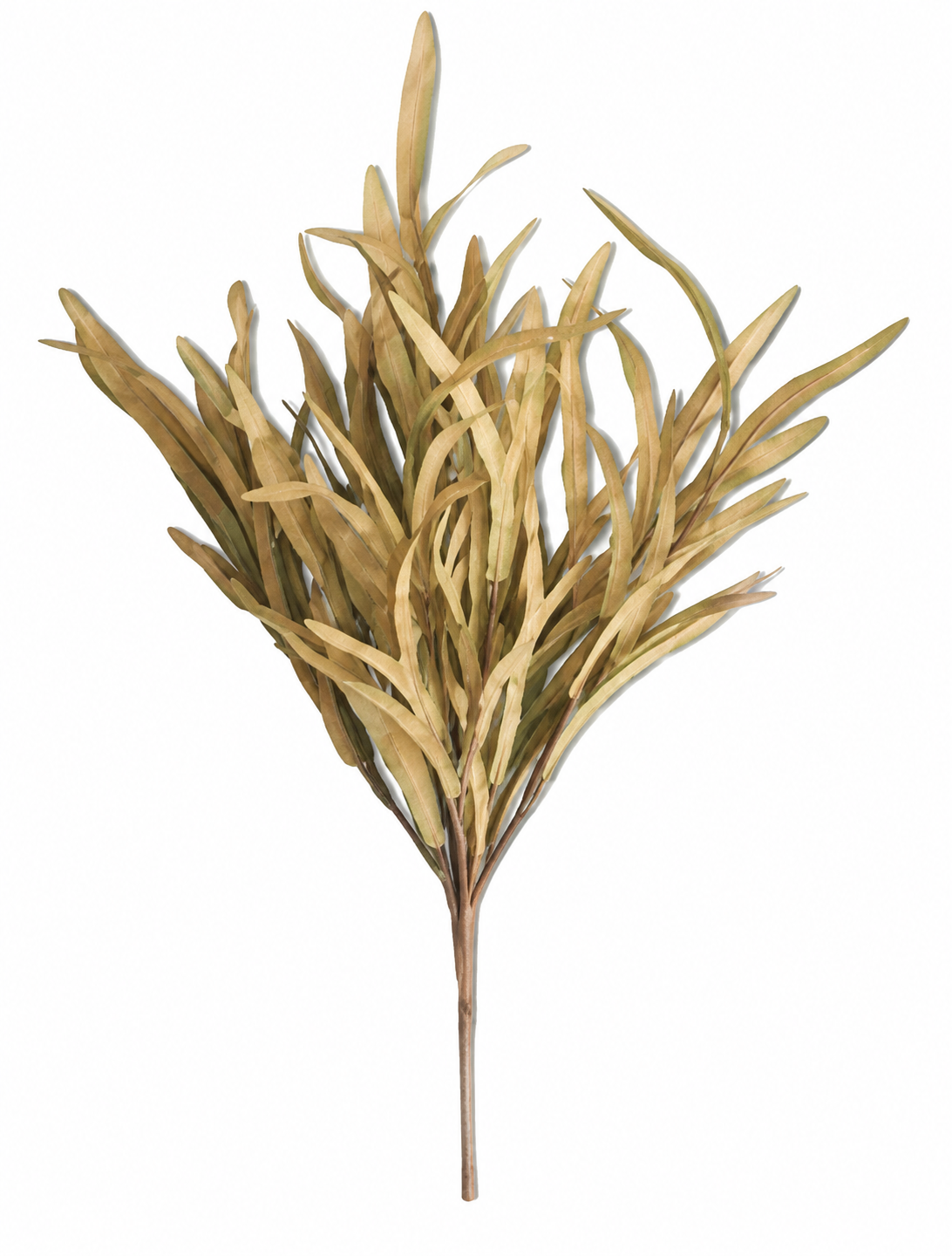 Harvest Meadow Grass Bush – 24"